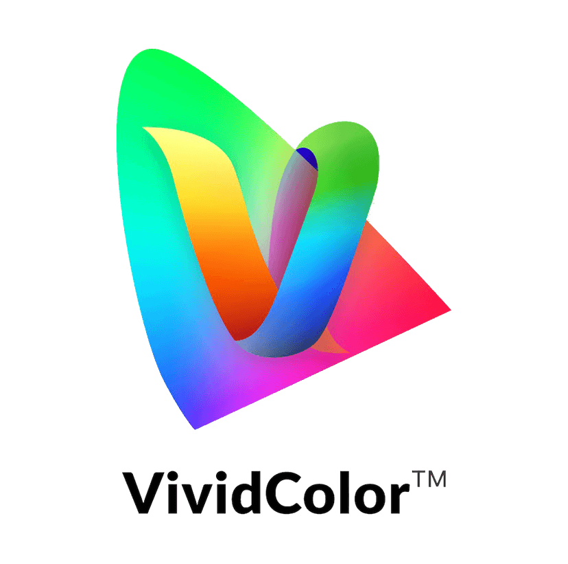VividColor Logo